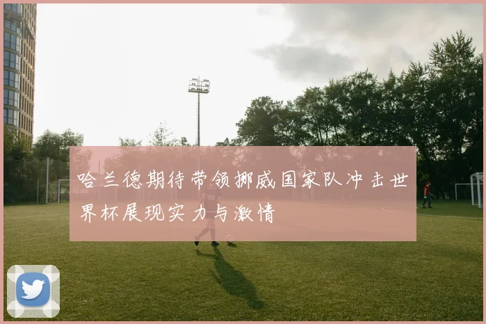 哈兰德期待带领挪威国家队冲击世界杯展现实力与激情