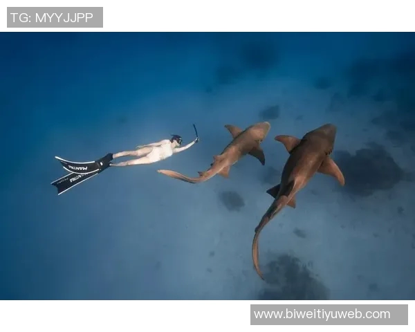 兰德尔回忆科比与鲨鱼共游经历激励他勇敢追梦不畏挑战 兰德尔回忆科比与鲨鱼共游经历激励他勇敢追梦不畏挑战